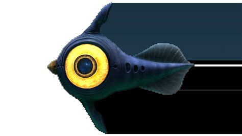 What The Peeper