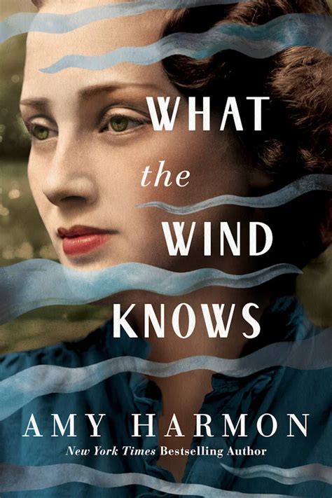 What The Wind Knows Summary