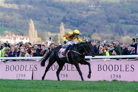 what time is the cheltenham gold cup race