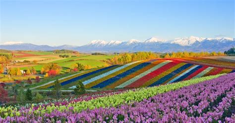 what to do in furano