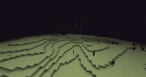 what to do in the end minecraft