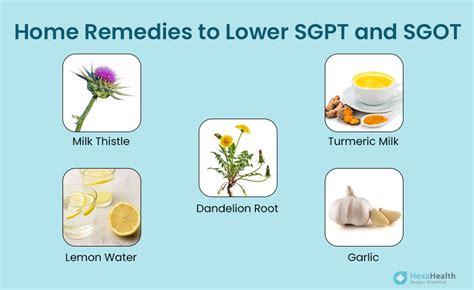 what to eat when sgpt is high