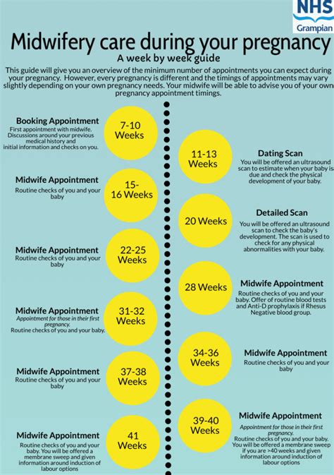 what to expect in first midwife appointment