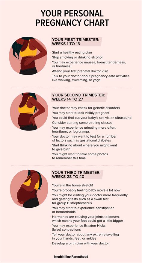 What To Expect When The New Baby Comes Home ( What To Expect Kids)