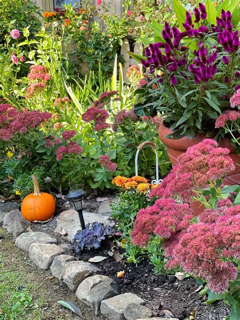 what to grow in fall garden