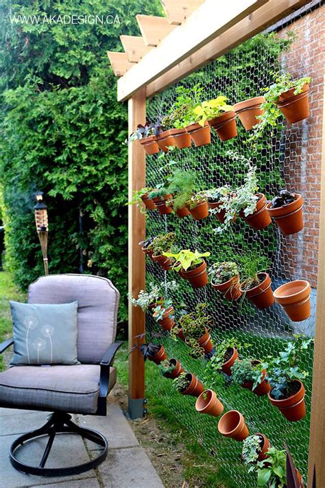 what to plant in a vertical garden