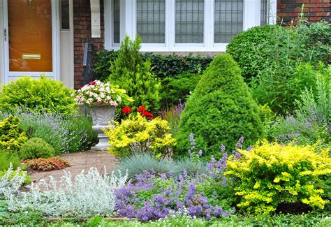 what to plant in front of house