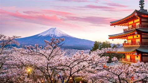 what to see in japan in april