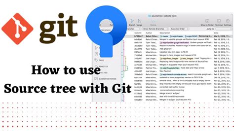 What Tree Is The Source Of Two Commercial Spices
