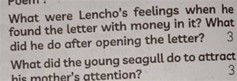 What Were Lencho's Feeling When The Hail Stopped