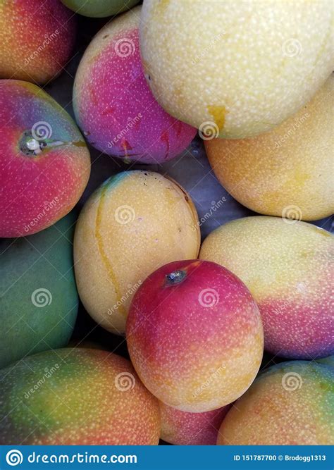 what would consieered considered a first kissed mango