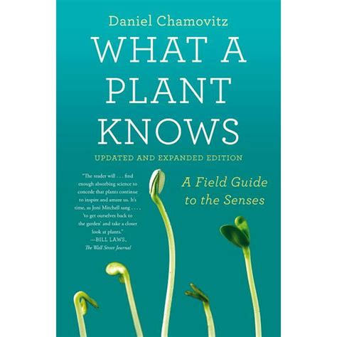 Full Download What A Plant Knows A Field Guide To The Senses 