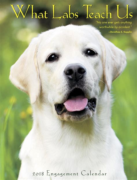 Read Online What Labs Teach Us 2018 Calendar 