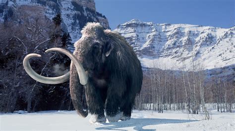 Download What Was The Ice Age 