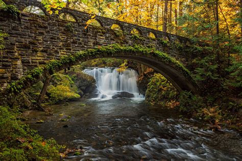 whatcom washington