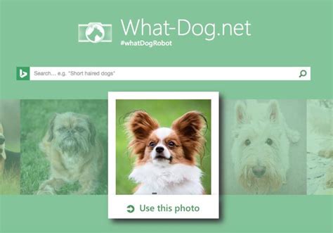 Featured Content