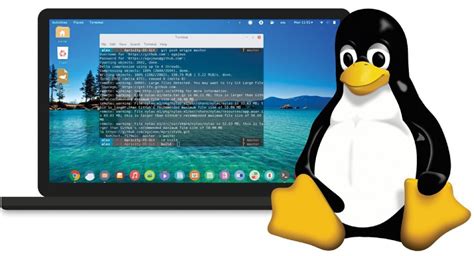 What's The Linux Code To Unlock A Samsung Phone