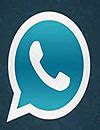 Whatsapp 2014 Waptrick