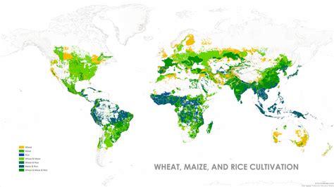 Wheat World Map