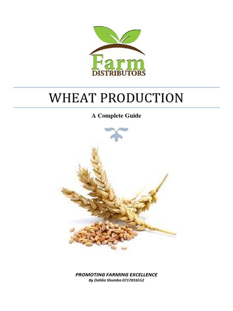 Full Download Wheat Production Guide 