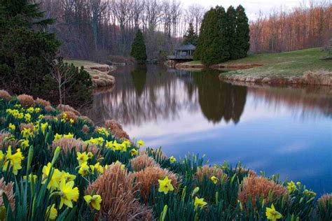 wheaton maryland