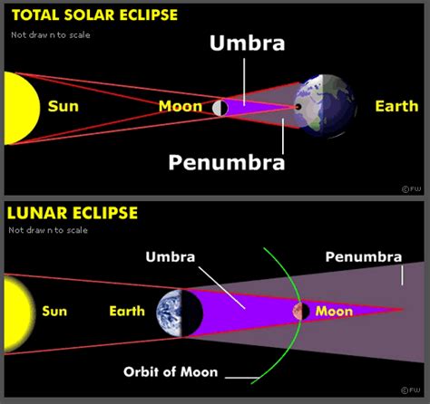 When An Eclipse Hides The Sun What Do Science Paln - Science Paln