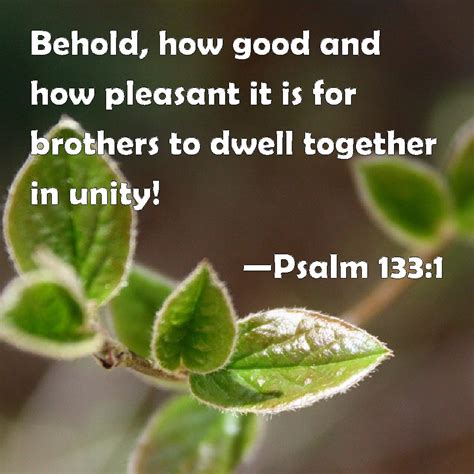 when brothers dwell in unity
