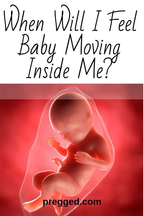 when can others feel baby movement during pregnancy
