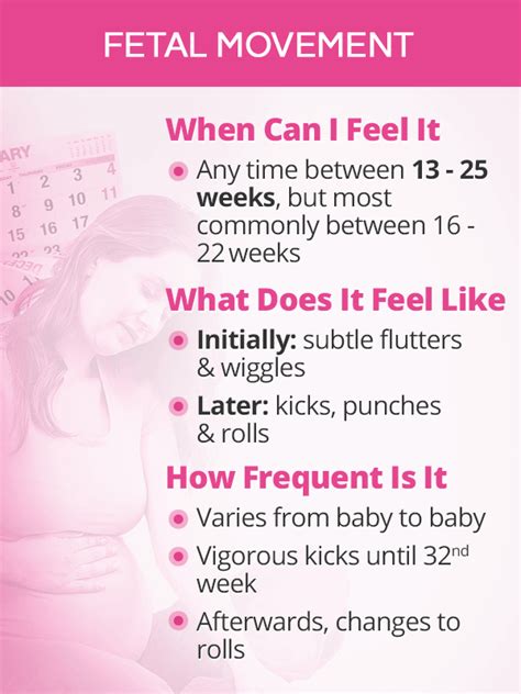 when can you feel baby move first pregnancy