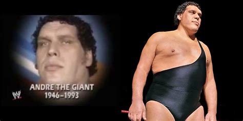 When Did Andre The Giant Die
