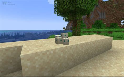 when do turtle eggs hatch in minecraft