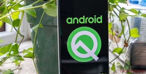 when is android q coming out