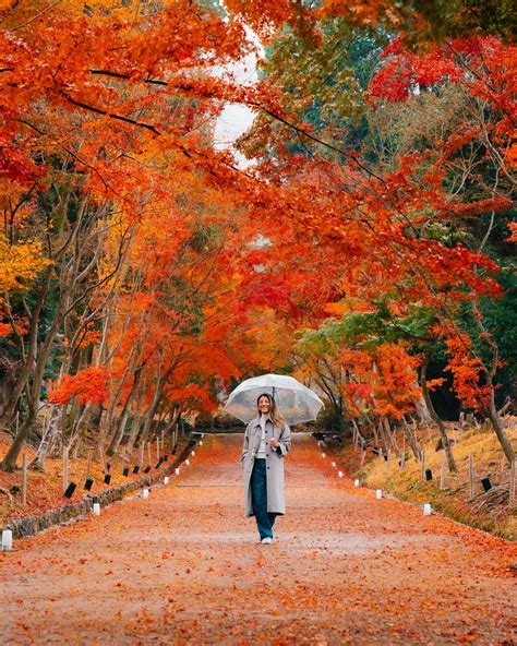 when is autumn in kyoto