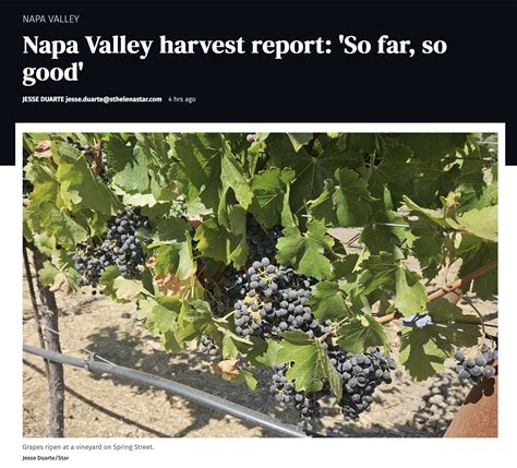 when is harvest in napa