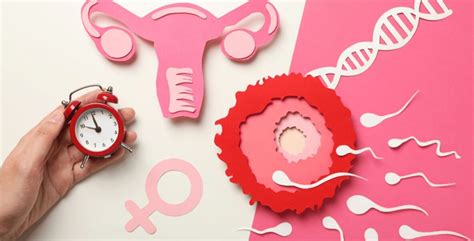 when is it dangerous to get pregnant