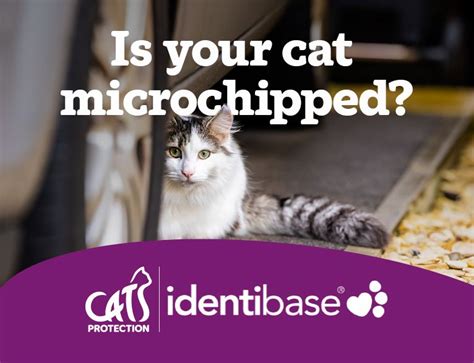 when is microchipping becoming compulsory