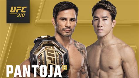 when is next ufc ppv