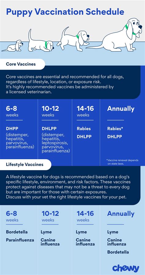 when is puppys first vaccination