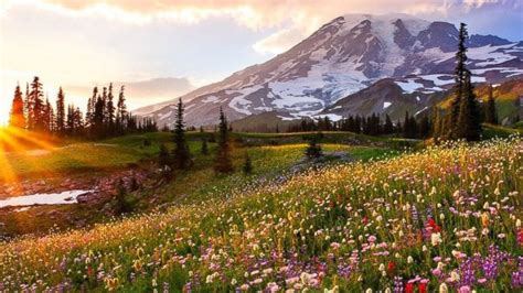 when is spring in america