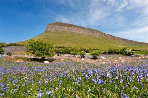 when is spring in ireland