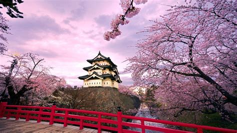 when is spring in japan