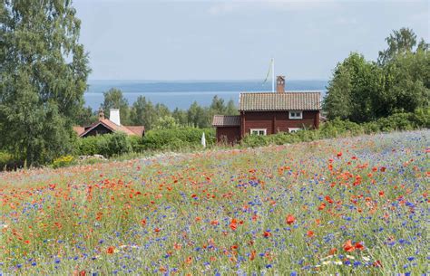 when is spring in sweden