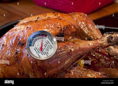 when is turkey done with meat thermometer
