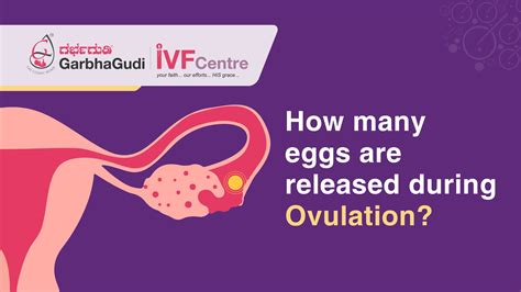 when is your egg released during ovulation