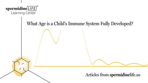 when is your immune system fully developed