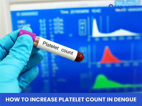 when platelet count increase in dengue