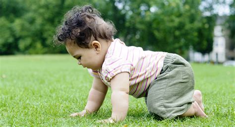 when should a child crawl