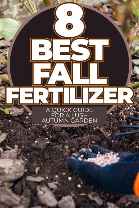 when should fall fertilizer be applied