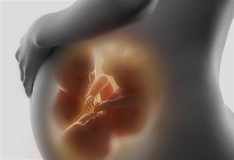 when should i feel twins move