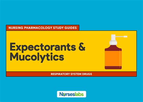 when should i take an expectorant